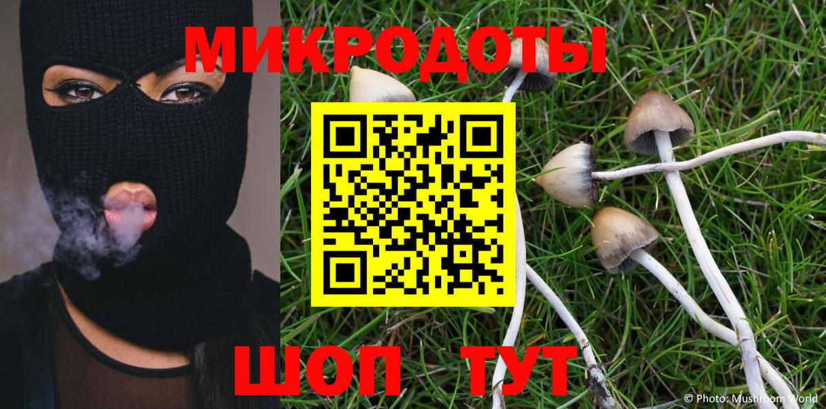 Псилоцибиновые грибы мухоморы Бирск