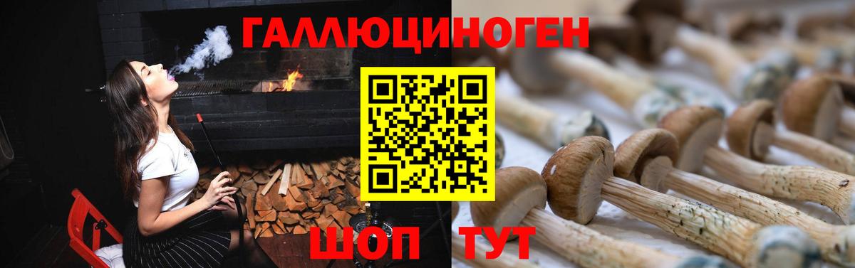 Бирск  Псилоцибиновые грибы MAGIC MUSHROOMS  Вход с VPN 